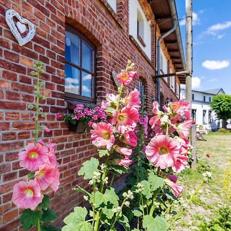 Ostsee Bauernhof Schwalbennest Ofc 15 Steffenshagen المظهر الخارجي الصورة